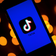 Illustration for article titled TikTok Chalks Up Another Military Ban